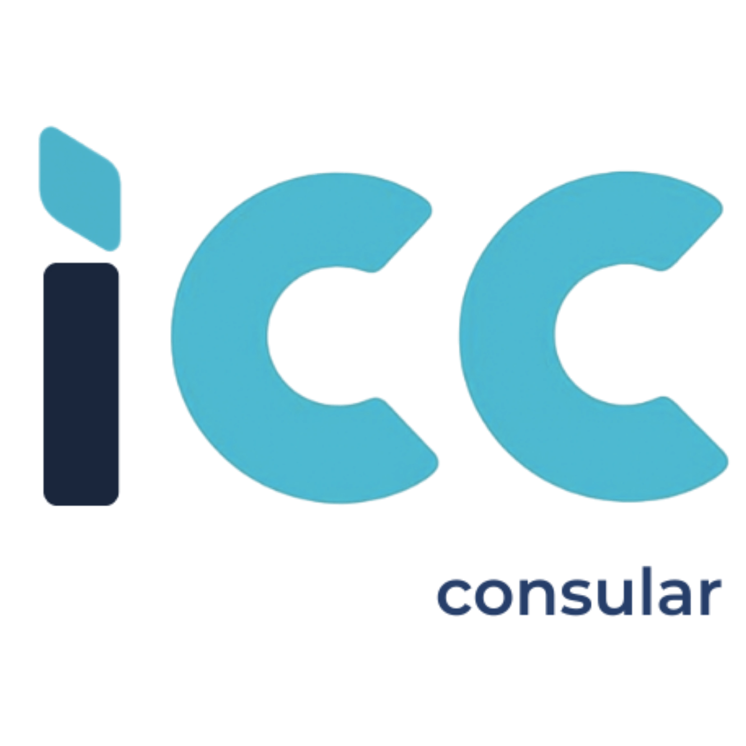 Interface Consultoria Consular